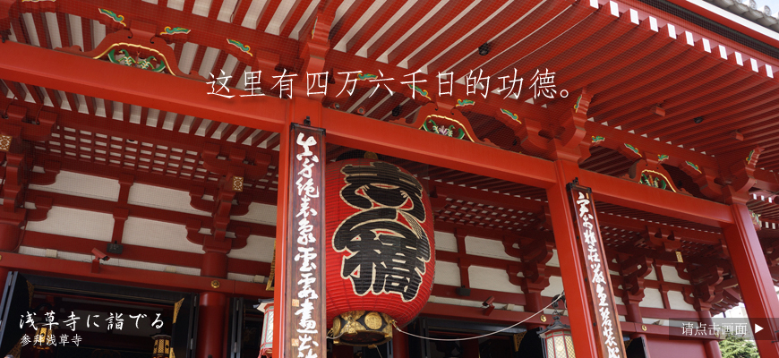 这里有四万六千日的功德。