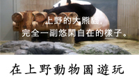 在上野動物園遊玩